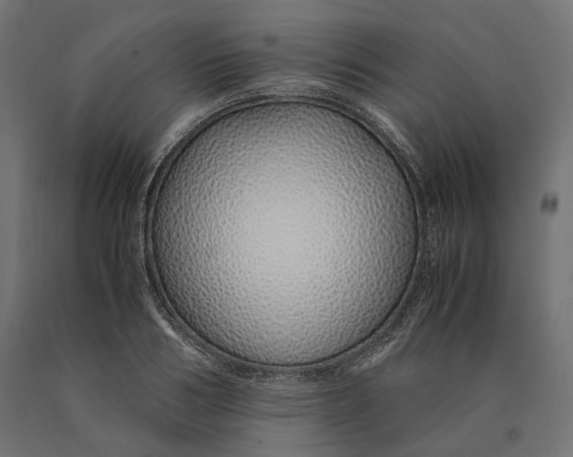 X0000090450986200708031213