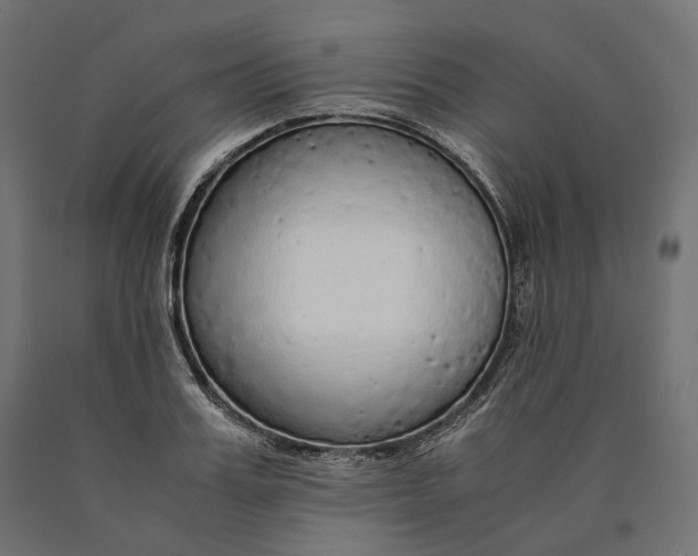 X0000090450987200708031213