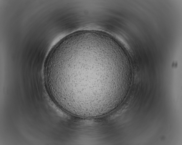 X0000090450990200708031213