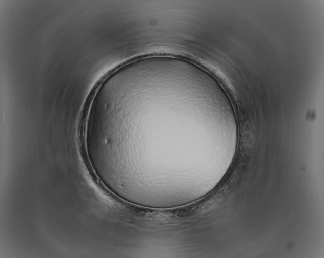 X0000090450991200708031213