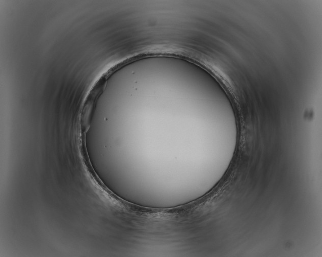 X0000090450992200708031213