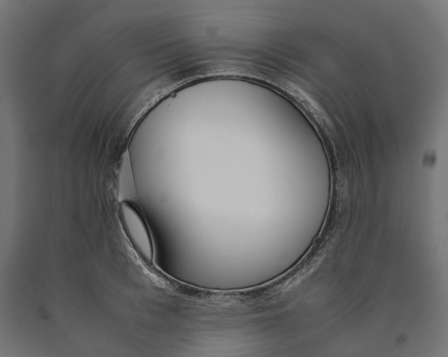 X0000090450993200708031213