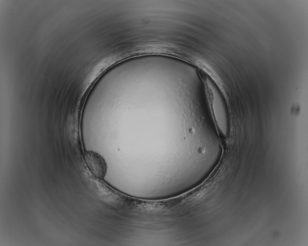 X0000090450994200708031213