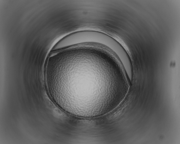 X0000090450996200708031213