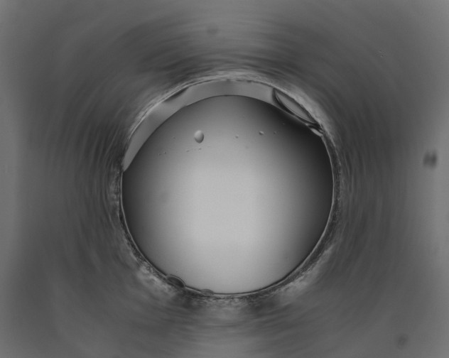 X0000090451001200708031213