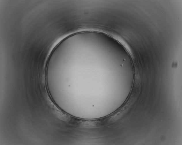 X0000090451004200708031213