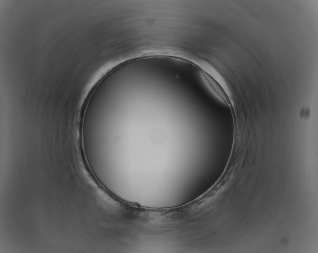 X0000090451005200708031213