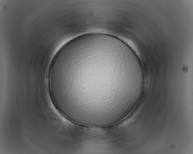 X0000090451007200708031213