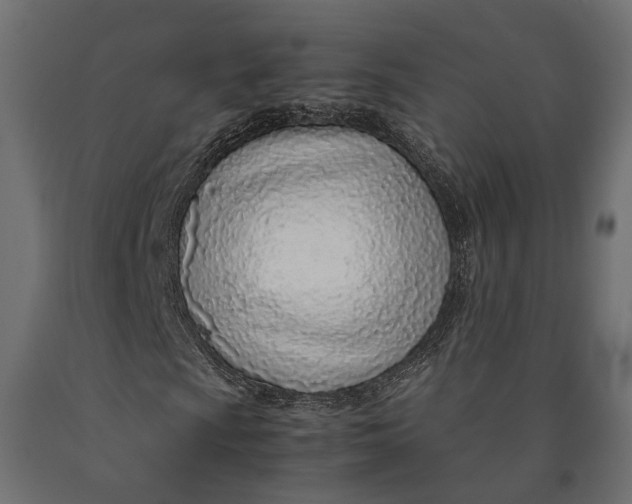 X0000090451009200708031212