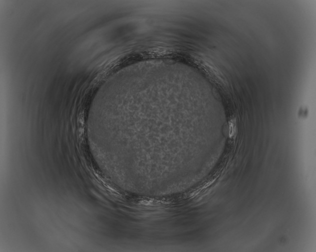 X0000090451011200708031212