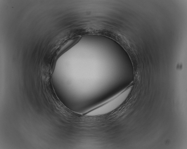 X0000090451012200708031212