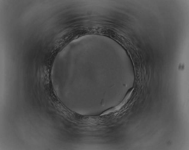 X0000090451013200708031212