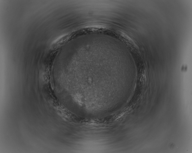 X0000090451014200708031212