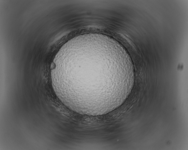 X0000090451015200708031212