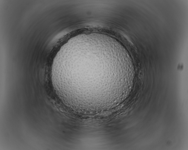 X0000090451016200708031212