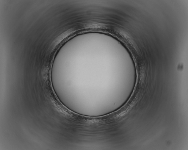 X0000090451017200708031212