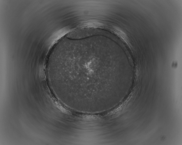 X0000090451018200708031212