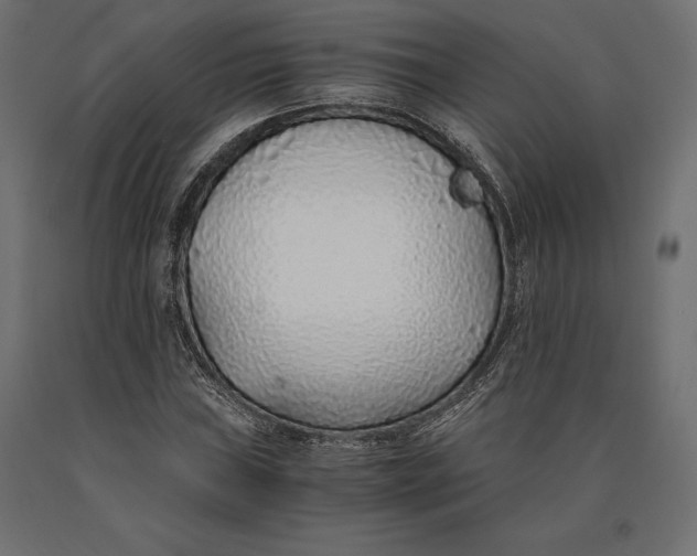 X0000090451019200708031212