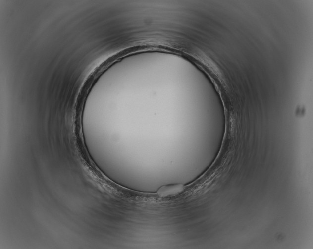 X0000090451020200708031212