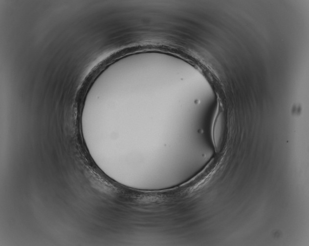 X0000090451021200708031212