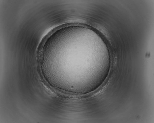 X0000090451022200708031212