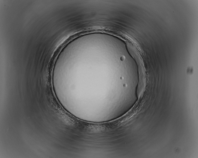 X0000090451023200708031212