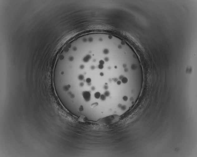 X0000090451025200708031212