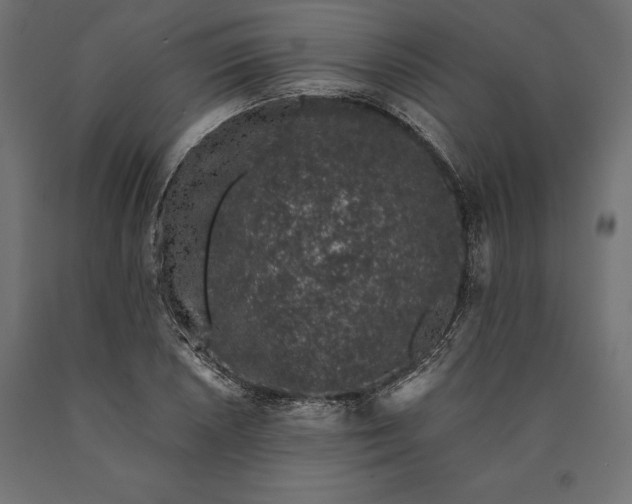 X0000090451026200708031212