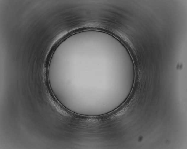 X0000090451029200708031212