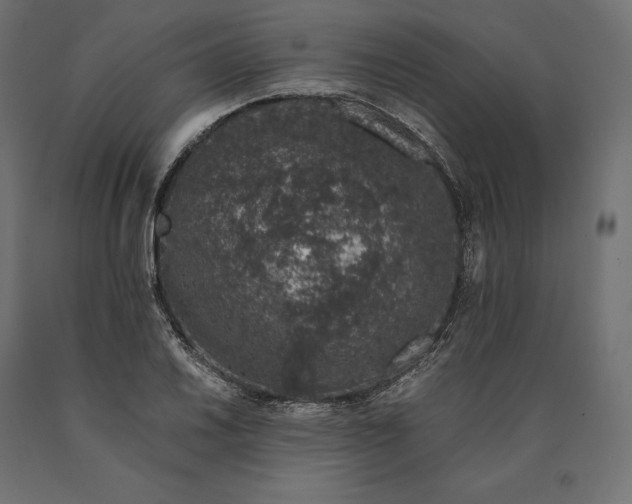 X0000090451030200708031212