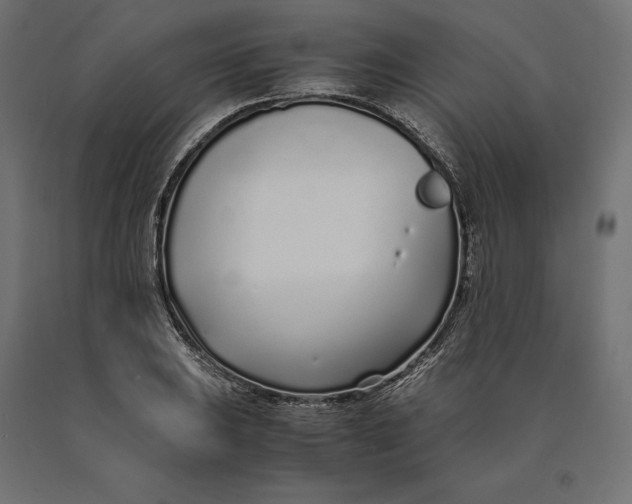 X0000090451031200708031212