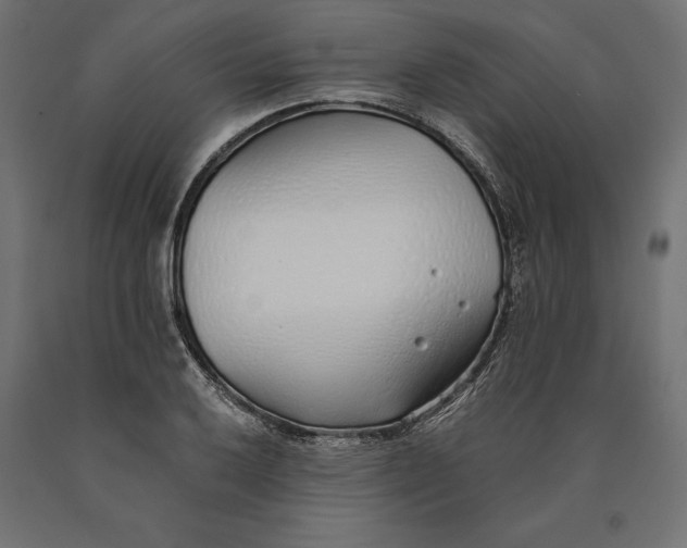 X0000090451032200708031212