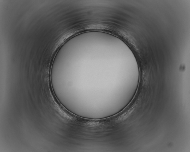 X0000090451033200708031212