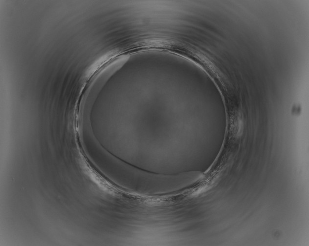 X0000090451034200708031212