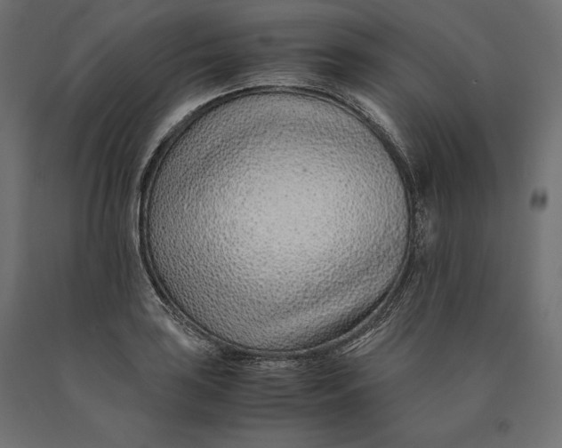 X0000090451035200708031212