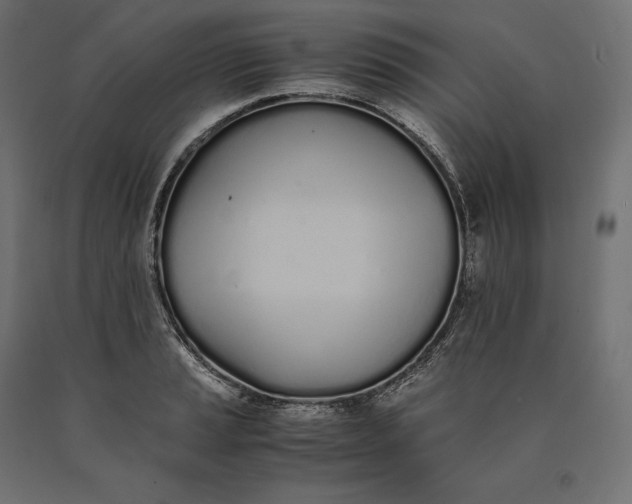 X0000090451037200708031212