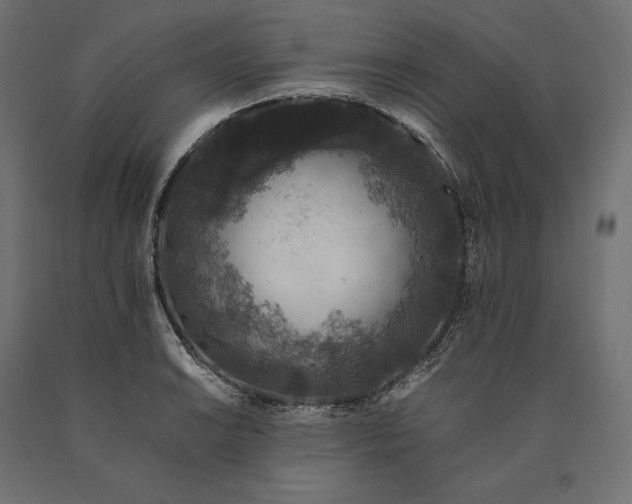 X0000090451038200708031212