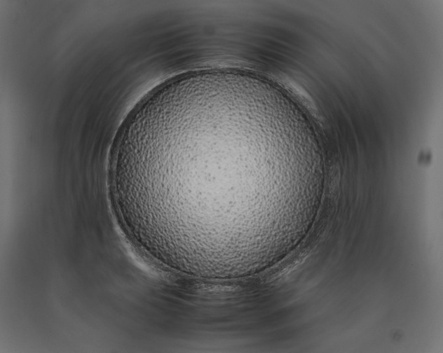 X0000090451039200708031213