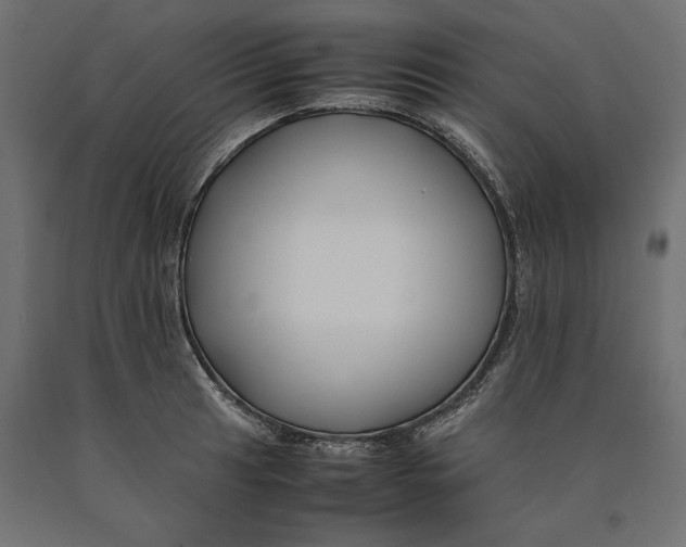 X0000090451041200708031213