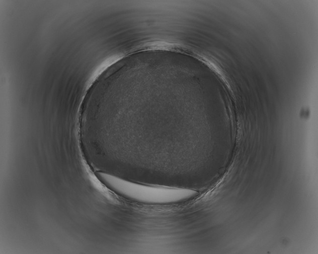 X0000090451042200708031213