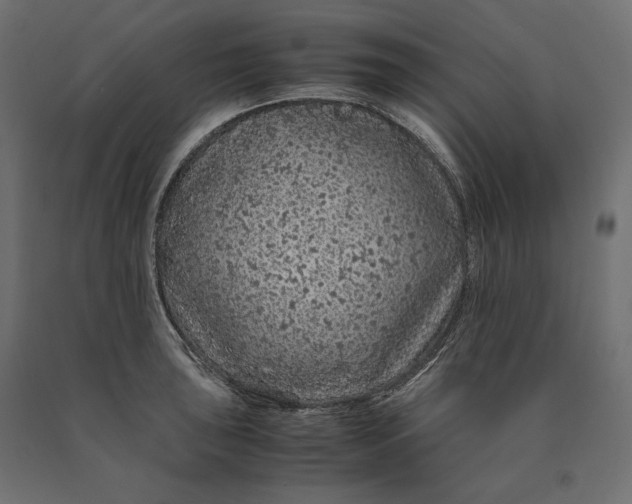 X0000090451043200708031213