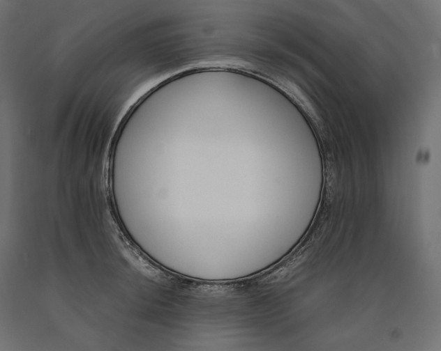 X0000090451044200708031213