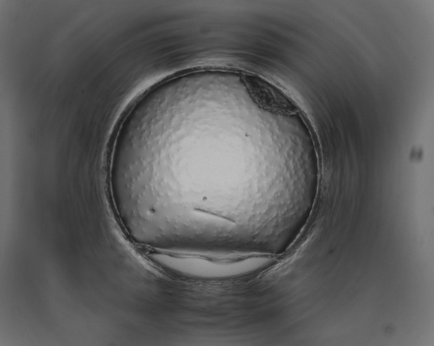 X0000090451045200708031213