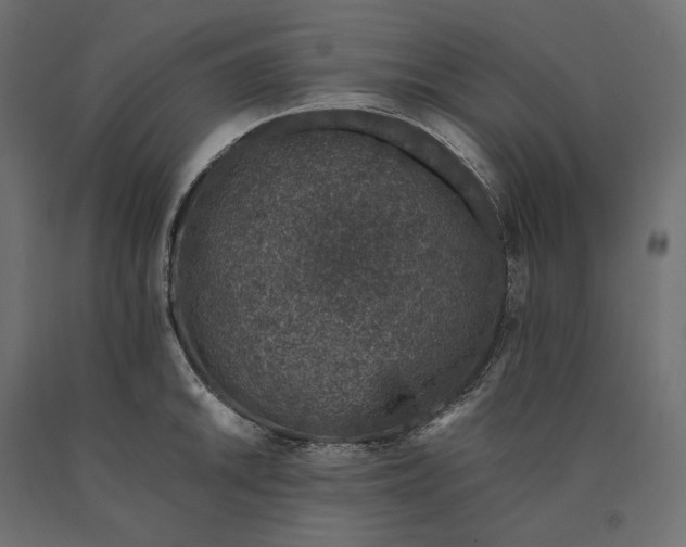 X0000090451046200708031213