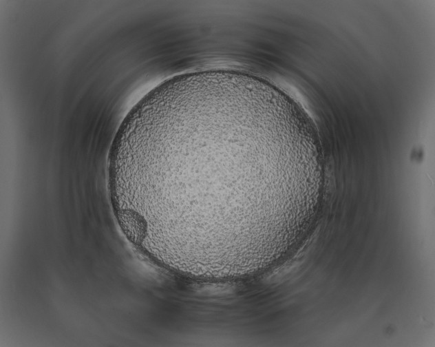 X0000090451047200708031213