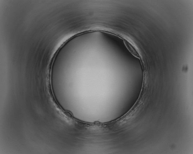 X0000090451048200708031213