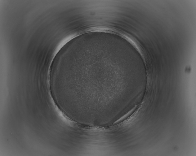 X0000090451050200708031213