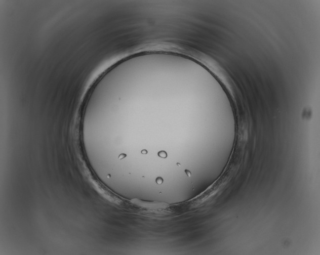 X0000090451053200708031213