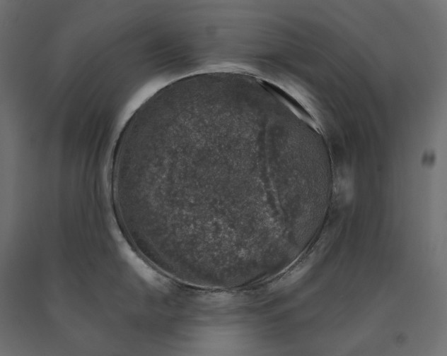 X0000090451054200708031213