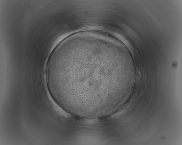 X0000090451055200708031213